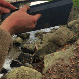 Fisher's World™ Advent Calendar